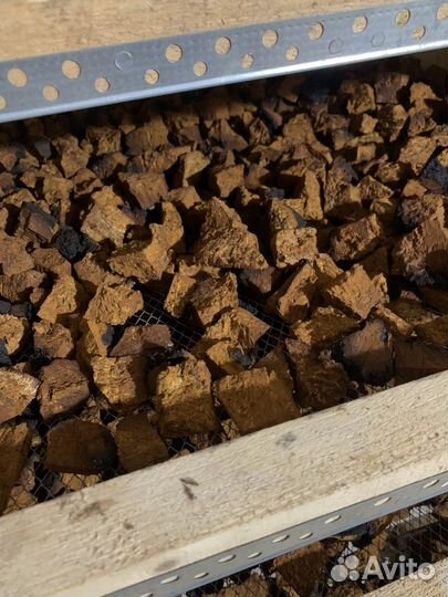 Чага сушенная