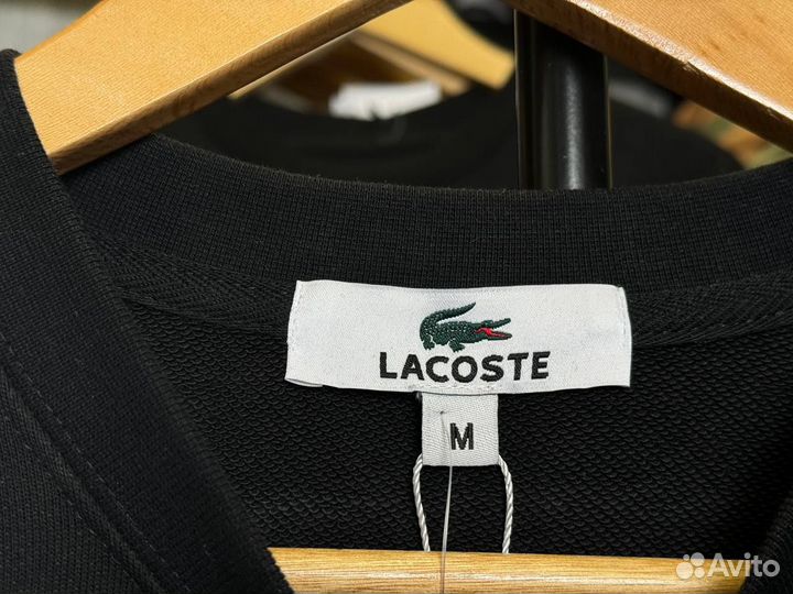 Свитшот Lacoste Мужской Оригинал-качество