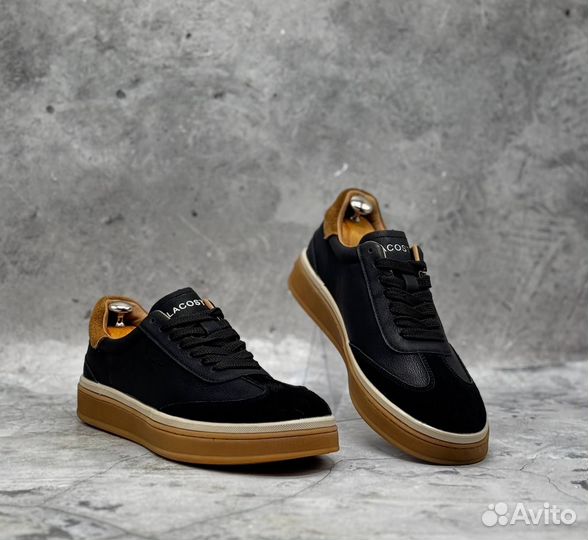 Мужские Кеды Zegna