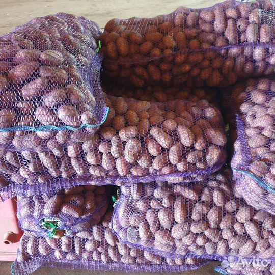Продам картофель