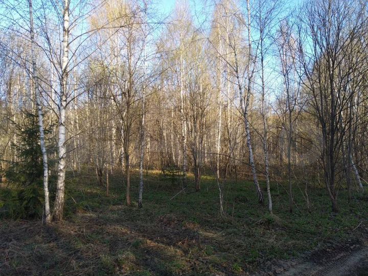Участок 20 сот. (СНТ, ДНП)