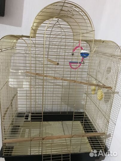 Клетка для попугая