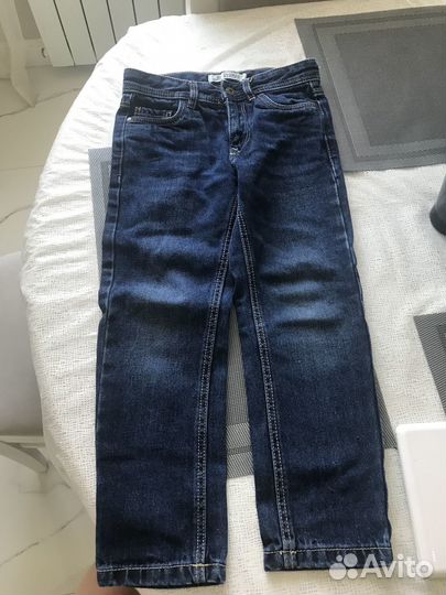 Орхидея брассия