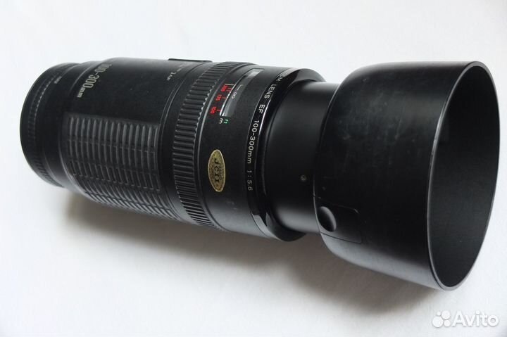 Объектив Canon 100-300mm + камера Сanon 500d