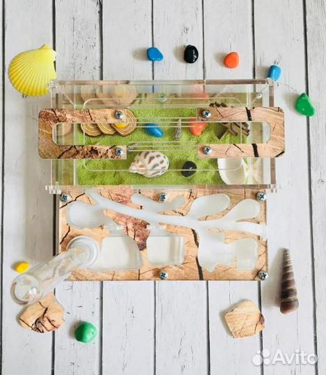 Муравьиная ферма mini 