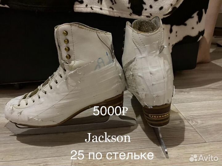 Джексон и Риспорт