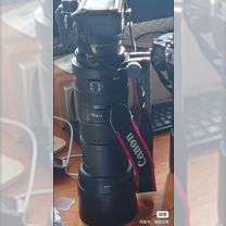 Sigma 150-500mm F5-6.3 DG OS HSM, Санкт-Петербург