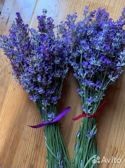 Букет лаванды