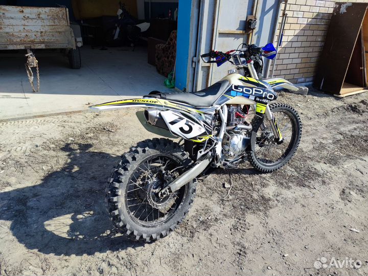 Avantis fx lux 250 pr 250
