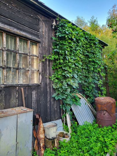 Дача 30 м² на участке 8 сот.