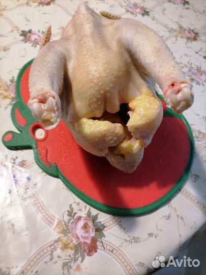 Мясо домашних кур (не бролеры)