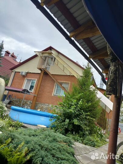 Ель обыкновенная