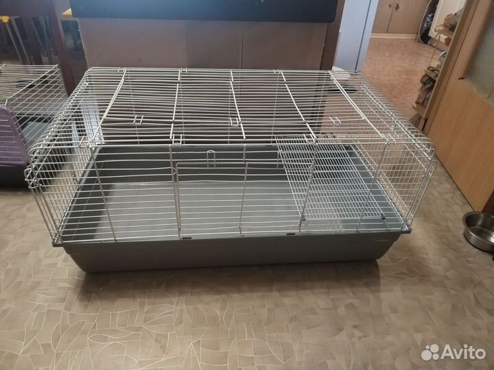 Клетка для грызунов очень большая, большая