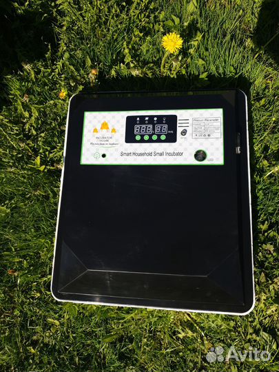 Инкубатор на 64 куриных яйца