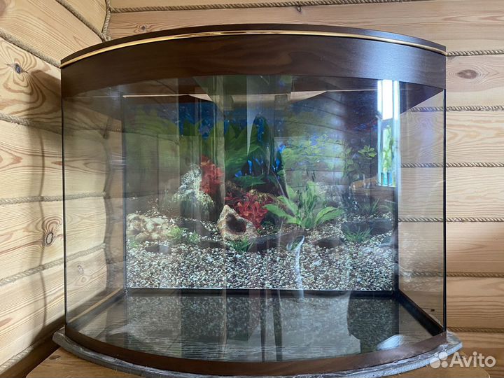 Аквариум на 120 литров