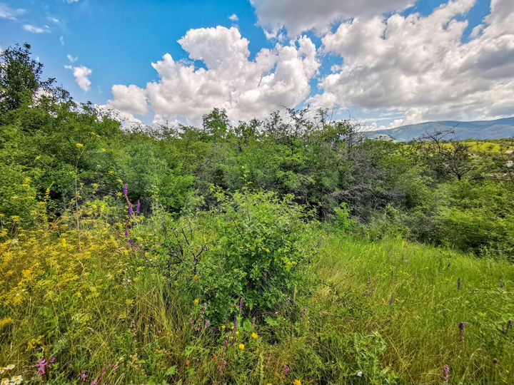 Участок 5,4 сот. (ИЖС)