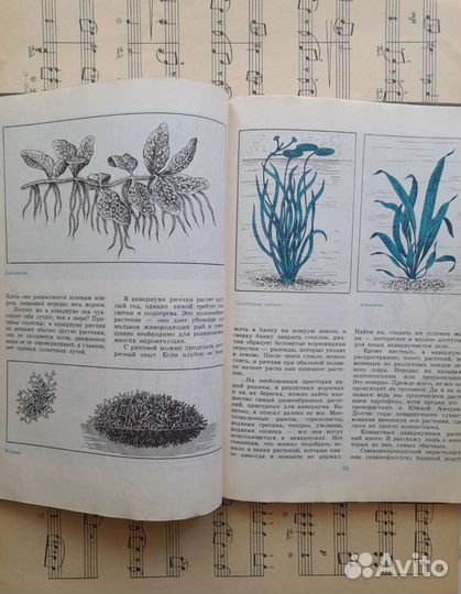 Книги. Иллюстрации. Ботаника. Собаководство