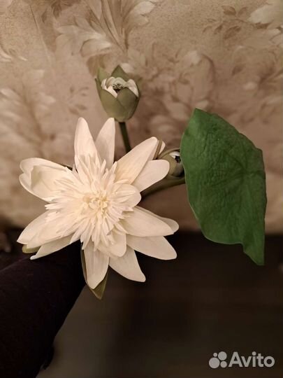 Искусственный гиппиаструм из икеа