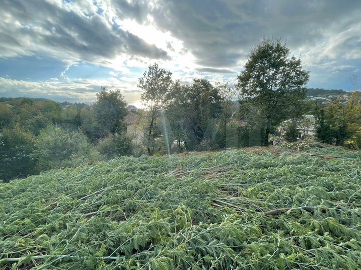 Участок 11 сот. (ИЖС)