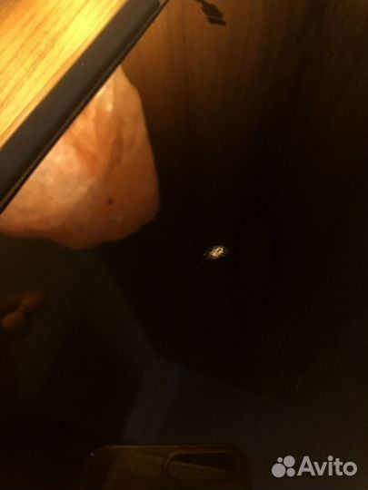 Экран macbook pro 15