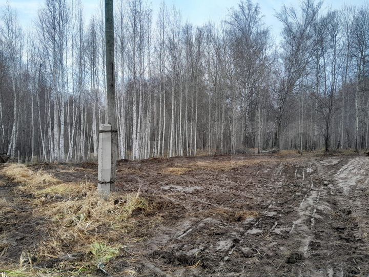 Участок 9 сот. (СНТ, ДНП)