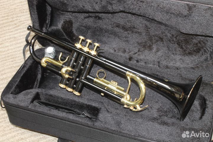 Труба Roy Benson TR-101K