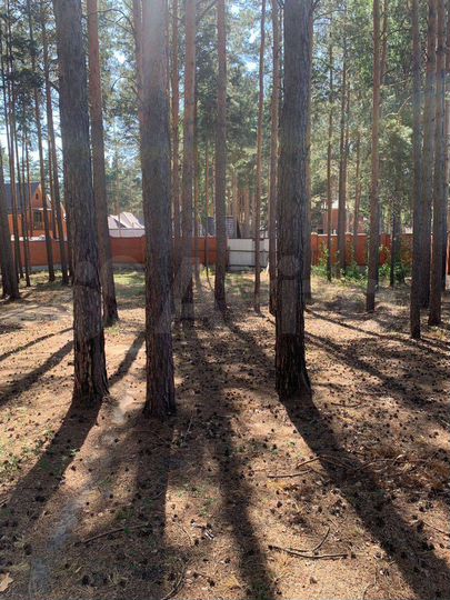 Участок 15 сот. (СНТ, ДНП)