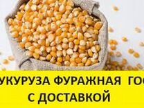 Зерно кукурузы фуражное гост нн