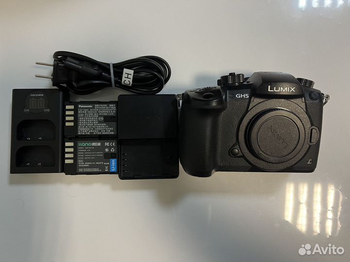 Panasonic lumix gh5