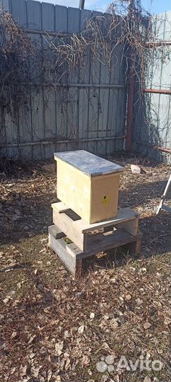 Продам улья, инвентарь