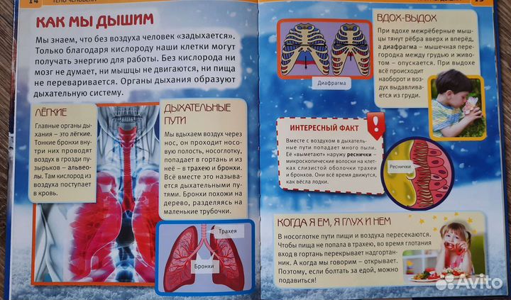 Детские энциклопедии большие