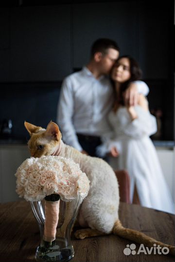 Фотограф Калининград Фотосессия Свадебная