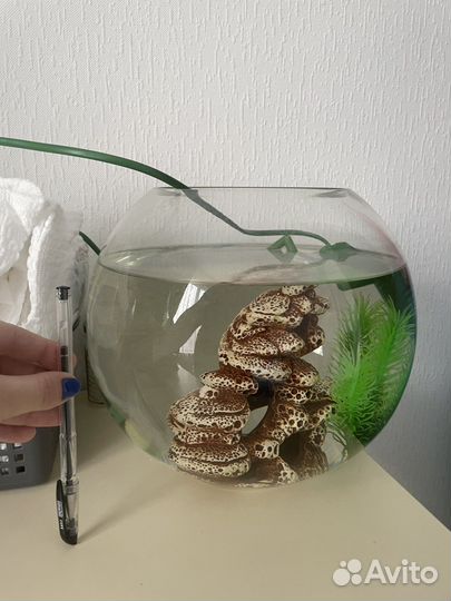 Аквариум с фильтром