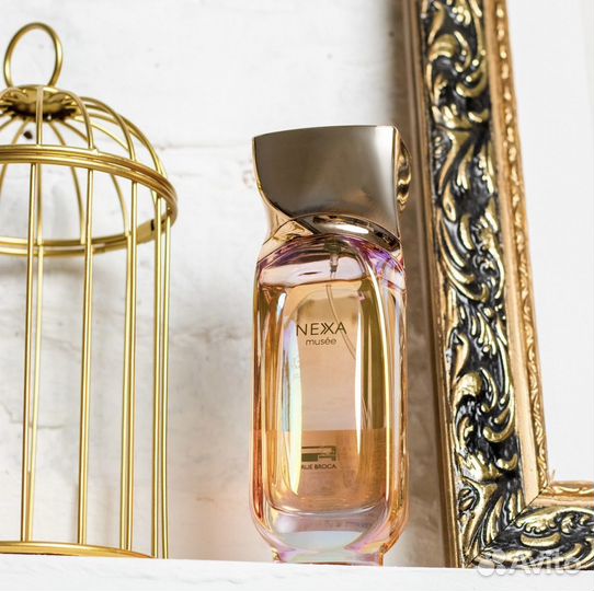 Rue Broca Nexa Musee распив