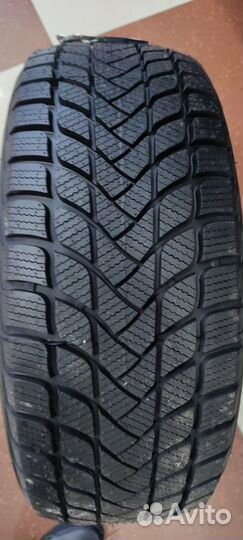 Delinte Winter WD1 225/55 R17