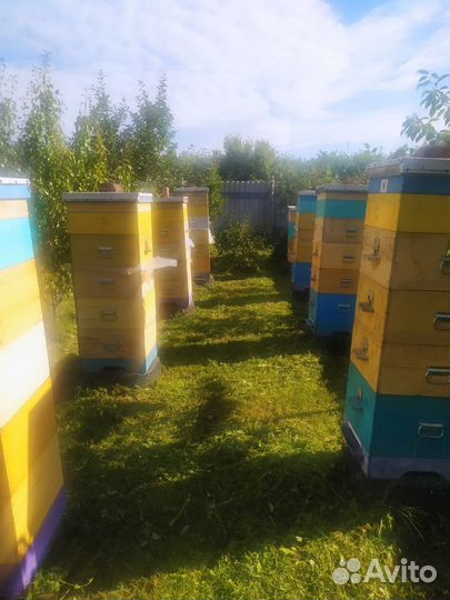 Это мёд и крем мёд