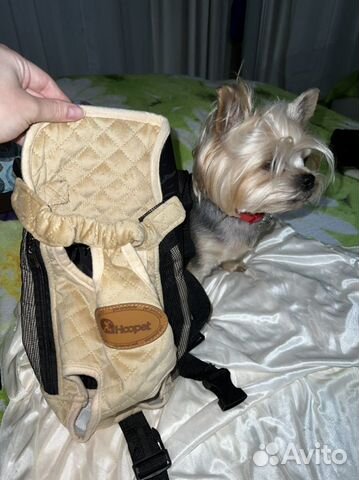 Переноска для животных