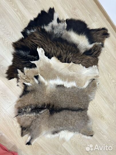 Козья шкура натуральная