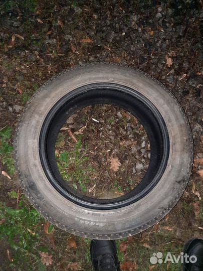 Bridgestone Blizzak Revo GZ 205/55 R16