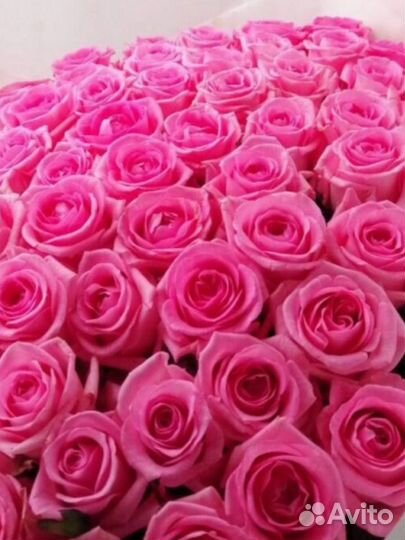 Букет 101 51 31 роза