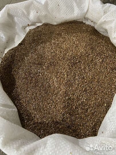 Семена Льна