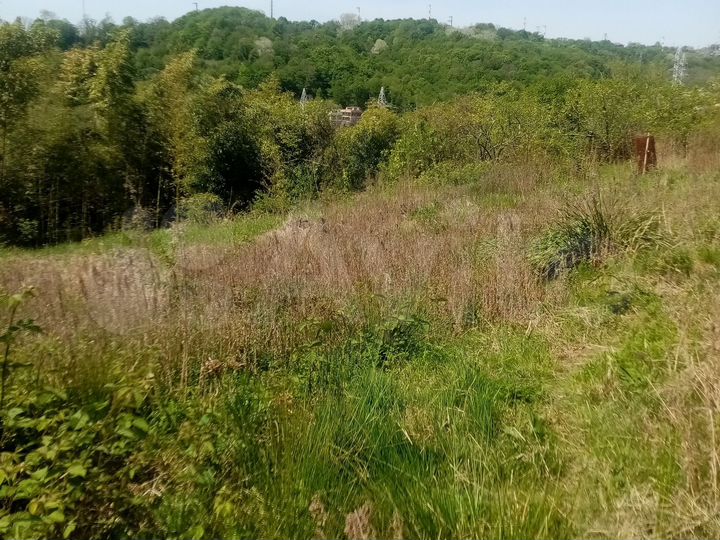 Участок 9 сот. (ИЖС)