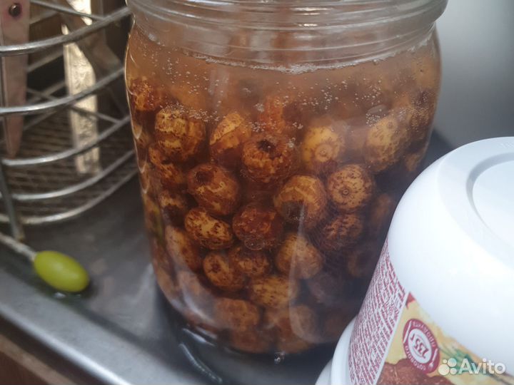 Чеснок яровой и другое