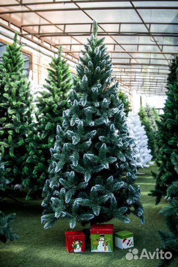 Ель заснеженная 210