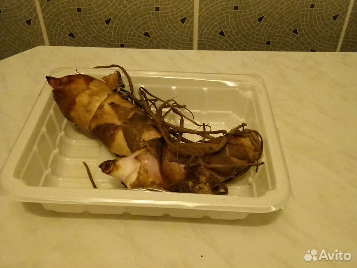 Клубни канны