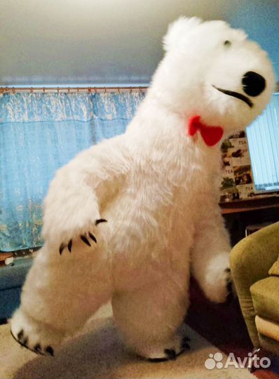 Заказать поздравление Белого медведя