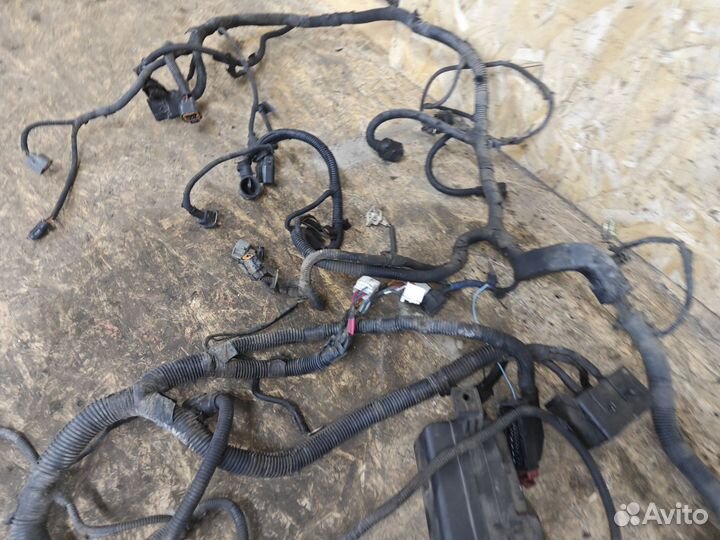 Проводка двигателя Kia Sorento 1