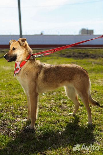 Вы за мной пришли, правда