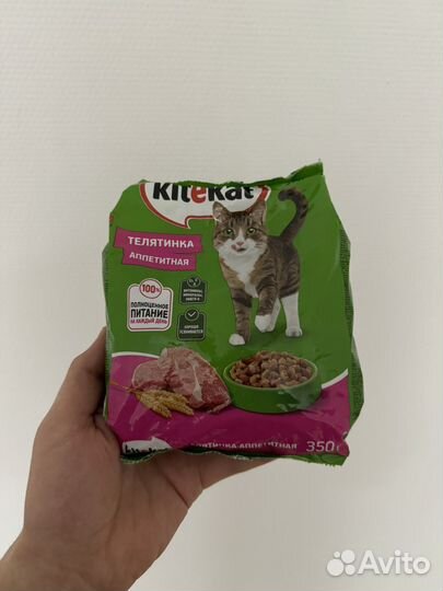 Кошачий сухой корм