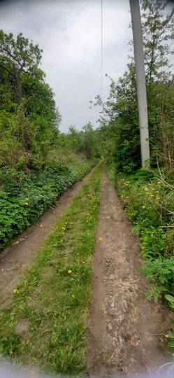 Дача 34 м² на участке 5,3 сот.